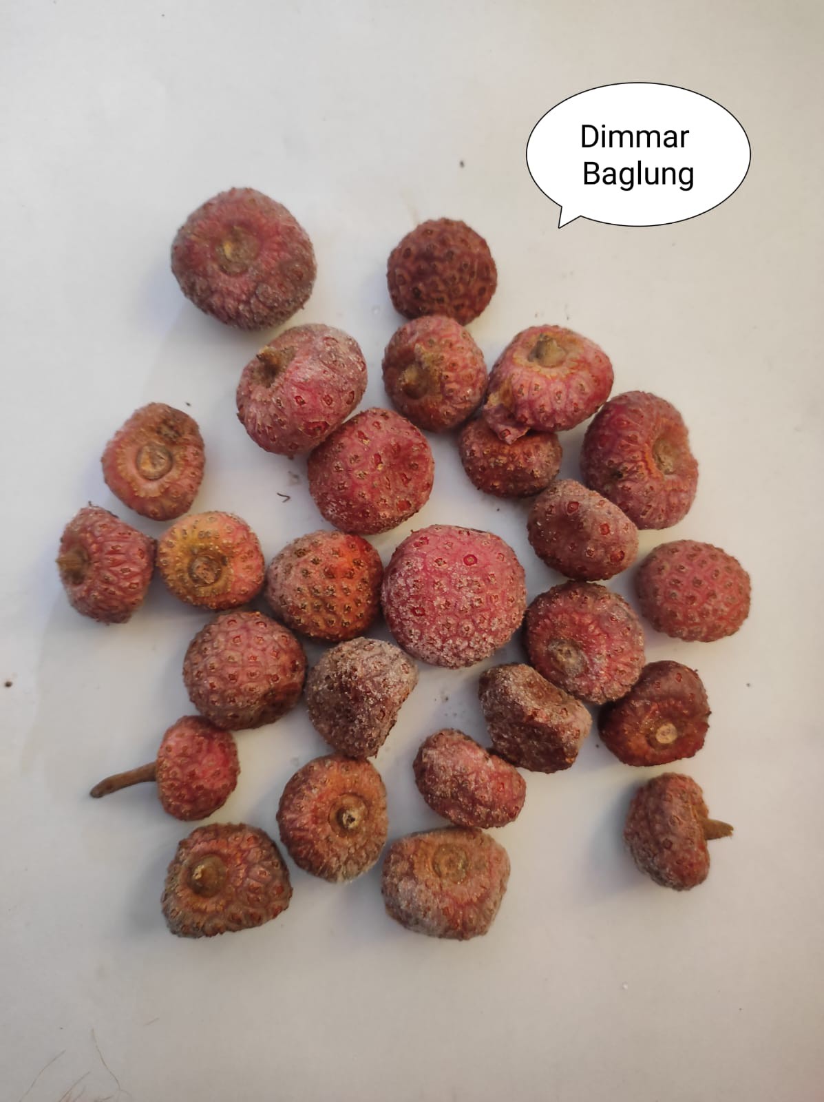 Underutilized Wild Fruits of Nepal